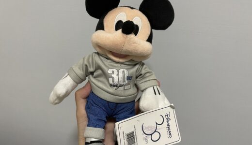 【パリ】ディズニーランド・パークで買えるオススメお土産一覧【30周年限定グッズも】